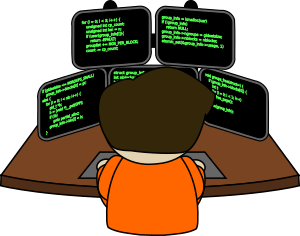 Software Development